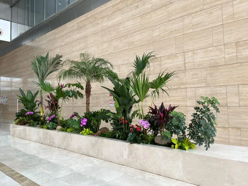 揭秘宁波奉化花木租赁价格的神秘面纱